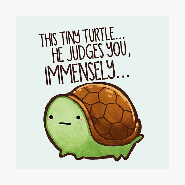 This turtle.. he judges you. Photographic Print