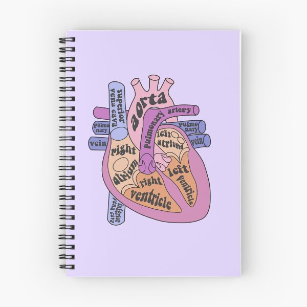 Item preview, Anatomical heart  designed and sold by Preslava Genova.