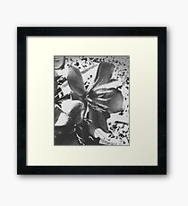 Flower Framed Print