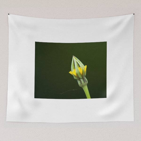 Item preview, Goats-beard Flower Bud designed and sold by Sue Robinson.