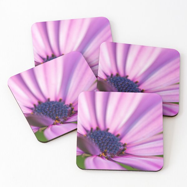 Item preview, Purple african daisy designed and sold by Dinasworld.