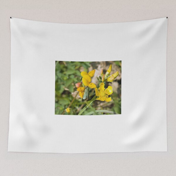 Item preview, Forester Moth designed and sold by Sue Robinson.