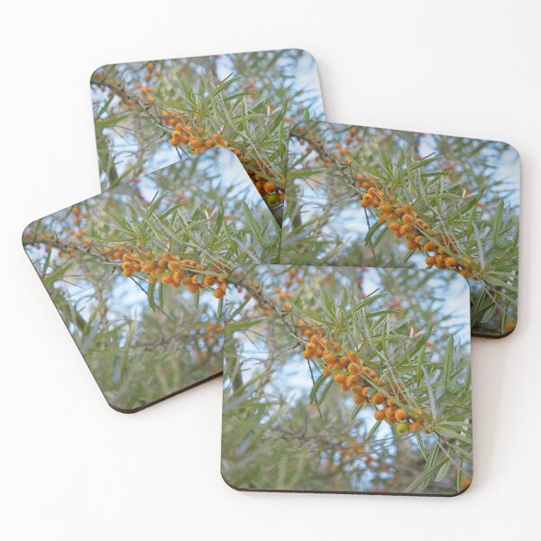 Item preview, Sea ​​buckthorn designed and sold by TheNordicNature.