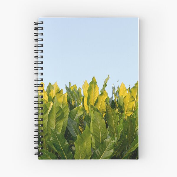 Item preview, Tree Leaves designed and sold by Dinasworld.