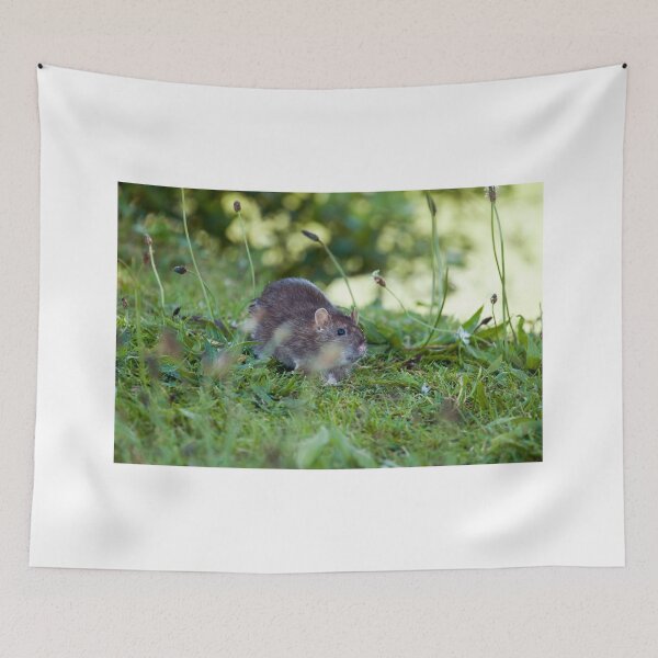 Item preview, Brown Rat in Countryside designed and sold by Sue Robinson.