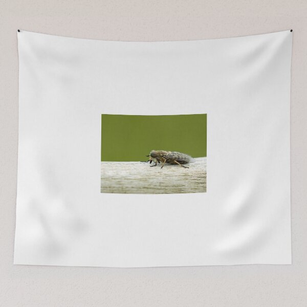 Item preview, Band Eyed Brown Horse Fly designed and sold by Sue Robinson.