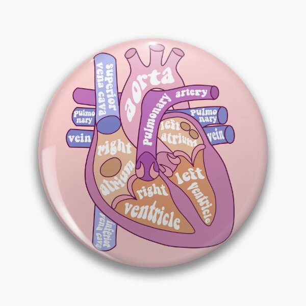 Item preview, Anatomical heart  designed and sold by Preslava Genova.