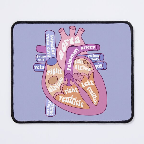 Item preview, Anatomical heart  designed and sold by Preslava Genova.