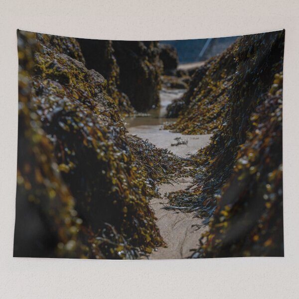 Item preview, seagrass gorge designed and sold by OskiOnTour.