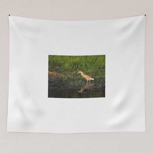 Item preview, Squacco Heron on Lesvos designed and sold by Sue Robinson.