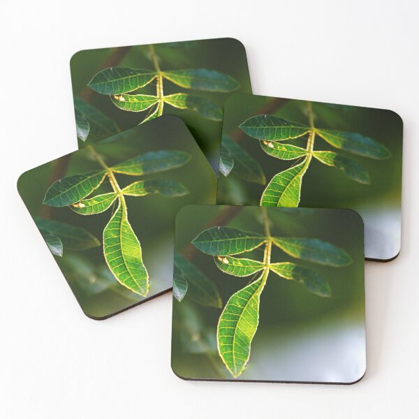 Item preview, backlit green tree leaf designed and sold by Dinasworld.