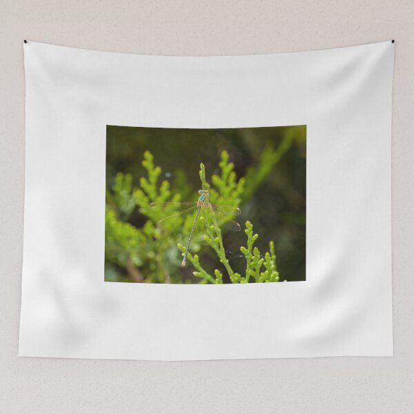Item preview, Migrant Spreadwing Damselfly designed and sold by Sue Robinson.