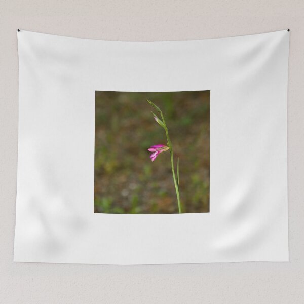 Item preview, Gladiolus orientalis designed and sold by Sue Robinson.