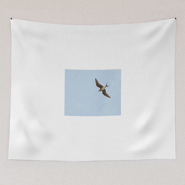 Item preview, Collared Pratincole designed and sold by Sue Robinson.