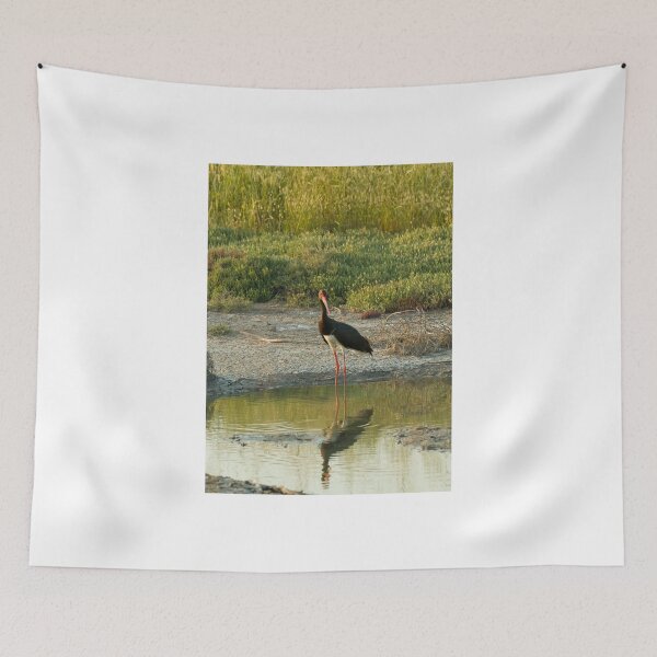 Item preview, Black Stork on Lesvos designed and sold by Sue Robinson.
