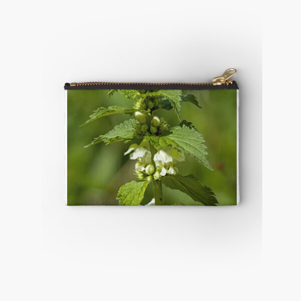 Item preview, White Dead-nettle designed and sold by Sue Robinson.
