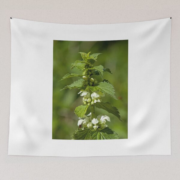 Item preview, White Dead-nettle designed and sold by Sue Robinson.