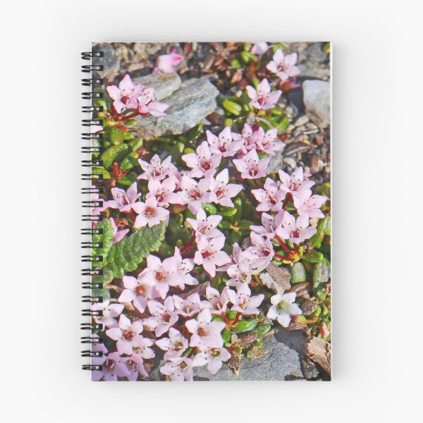 Item preview, Alpine Azalea designed and sold by Graeme  Hyde.