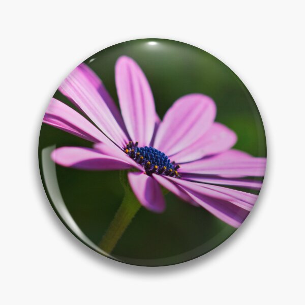 Item preview, Purple african daisy designed and sold by Dinasworld.