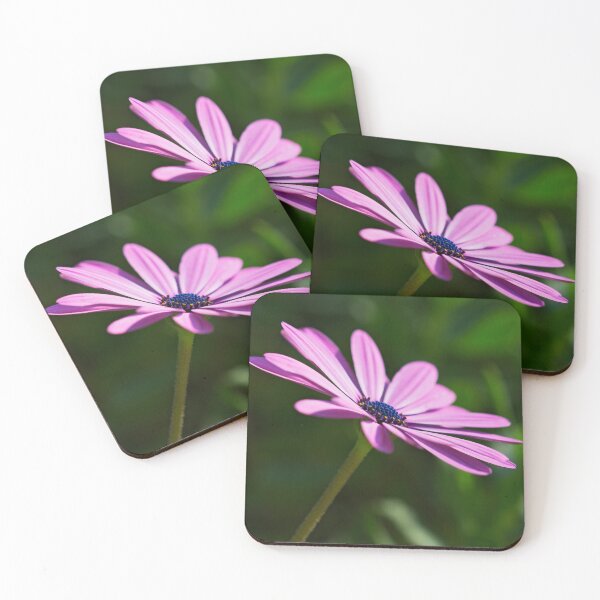 Item preview, Purple african daisy designed and sold by Dinasworld.