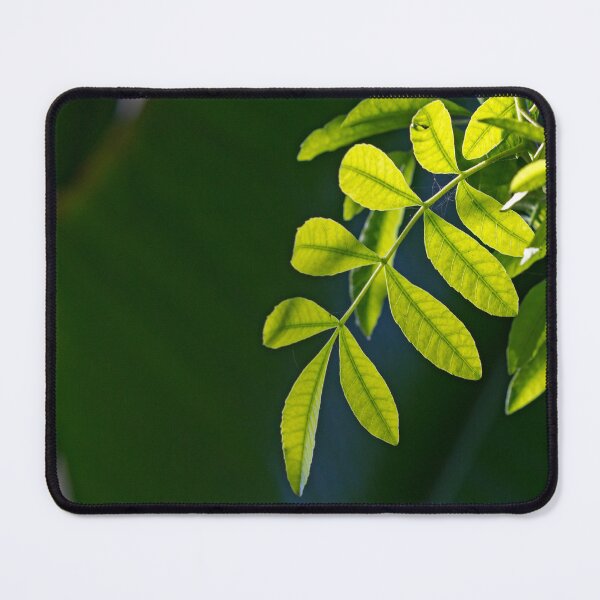 Item preview, Green Leaves Foliage designed and sold by Dinasworld.