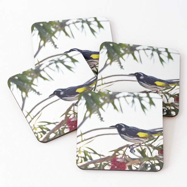 Item preview, New Holland Honeyeater in the Bottlebrush designed and sold by imaginethis.