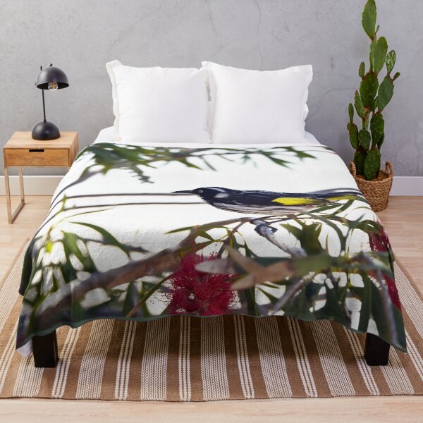Item preview, New Holland Honeyeater in the Bottlebrush designed and sold by imaginethis.