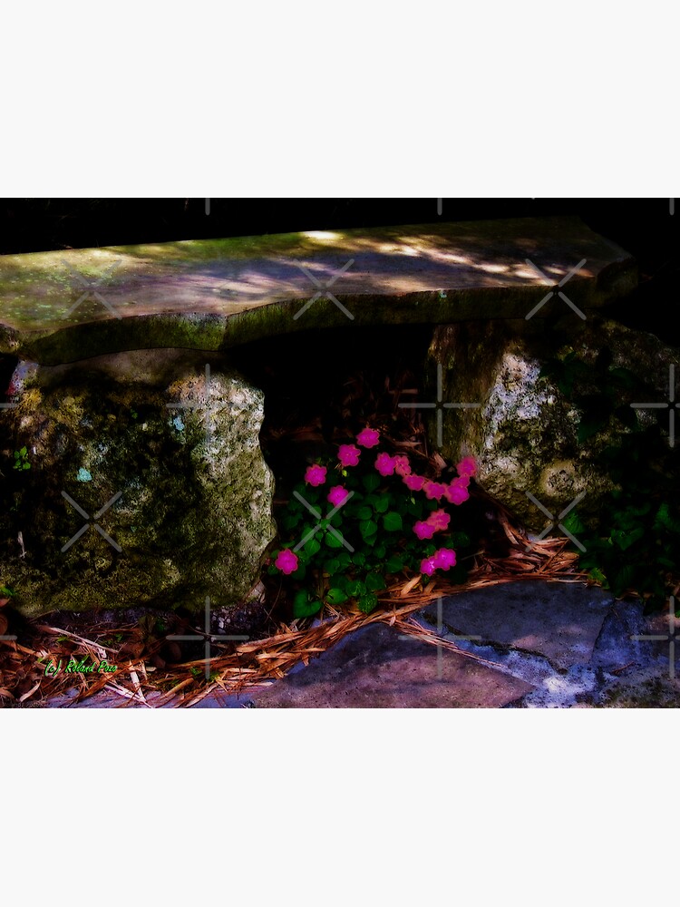 Stone Bench by photorolandi