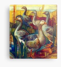 goose lombardella (anser albifrons) Metal Print