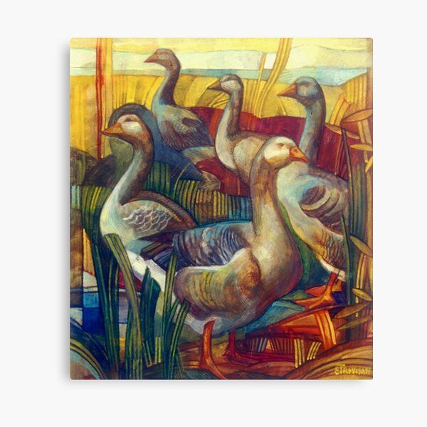 goose lombardella (anser albifrons) Canvas Print
