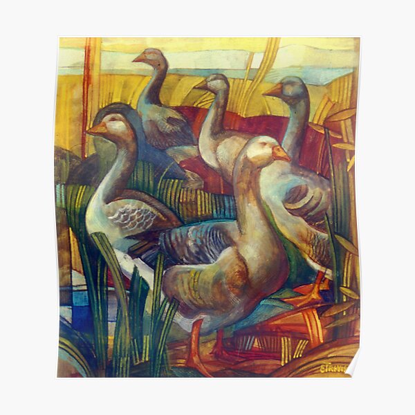 goose lombardella (anser albifrons) Poster