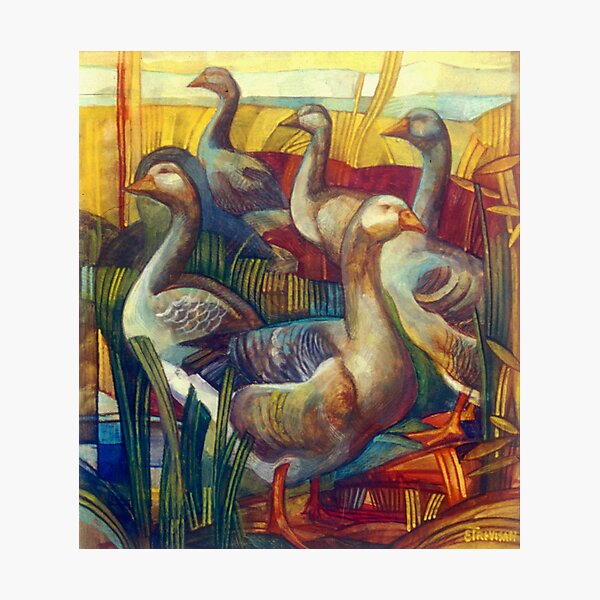 goose lombardella (anser albifrons) Photographic Print