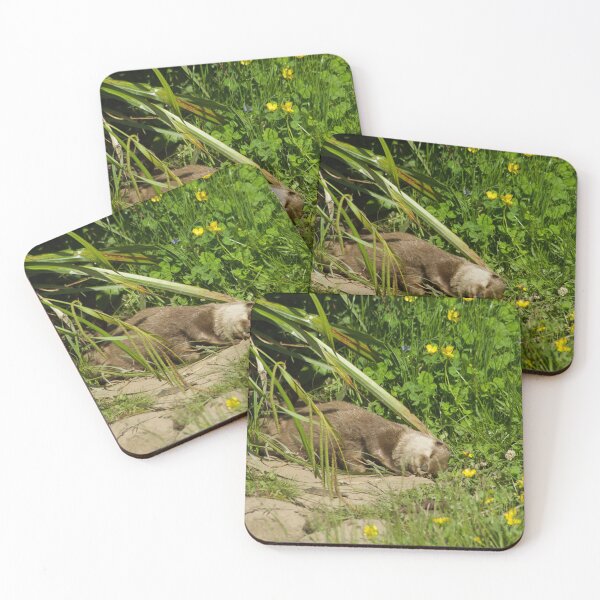 Item preview, Snoozing asian short-clawed otter designed and sold by picology.