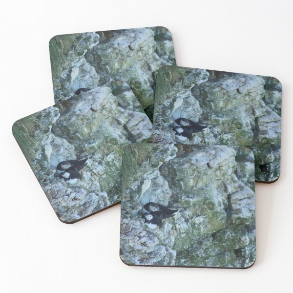 Item preview, Snuggling Puffins on Cliff designed and sold by picology.