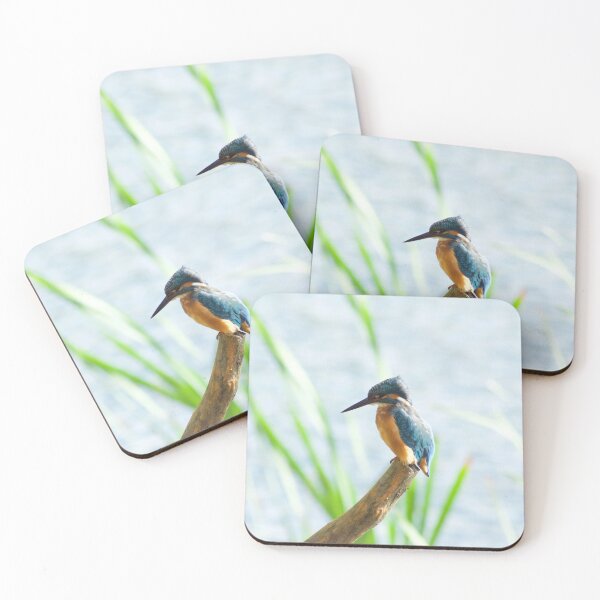 Item preview, Kingfisher on branch designed and sold by picology.