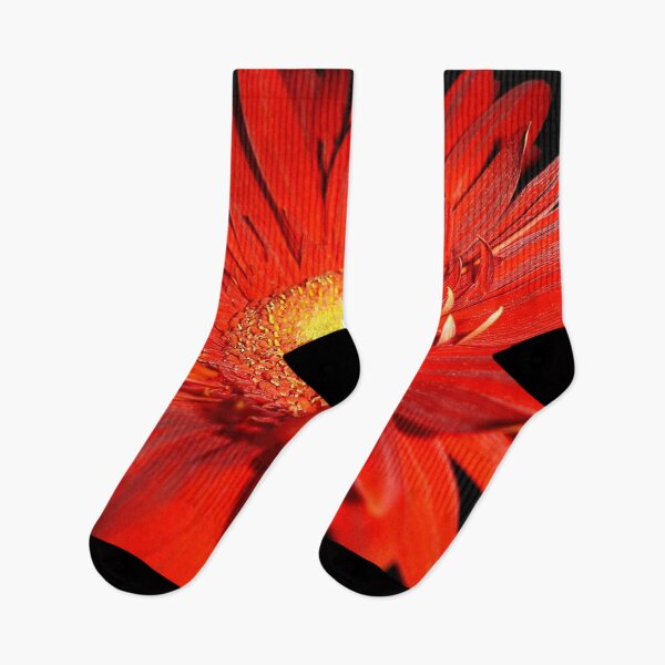 Item preview, Red Gerbera II designed and sold by NunoPires.