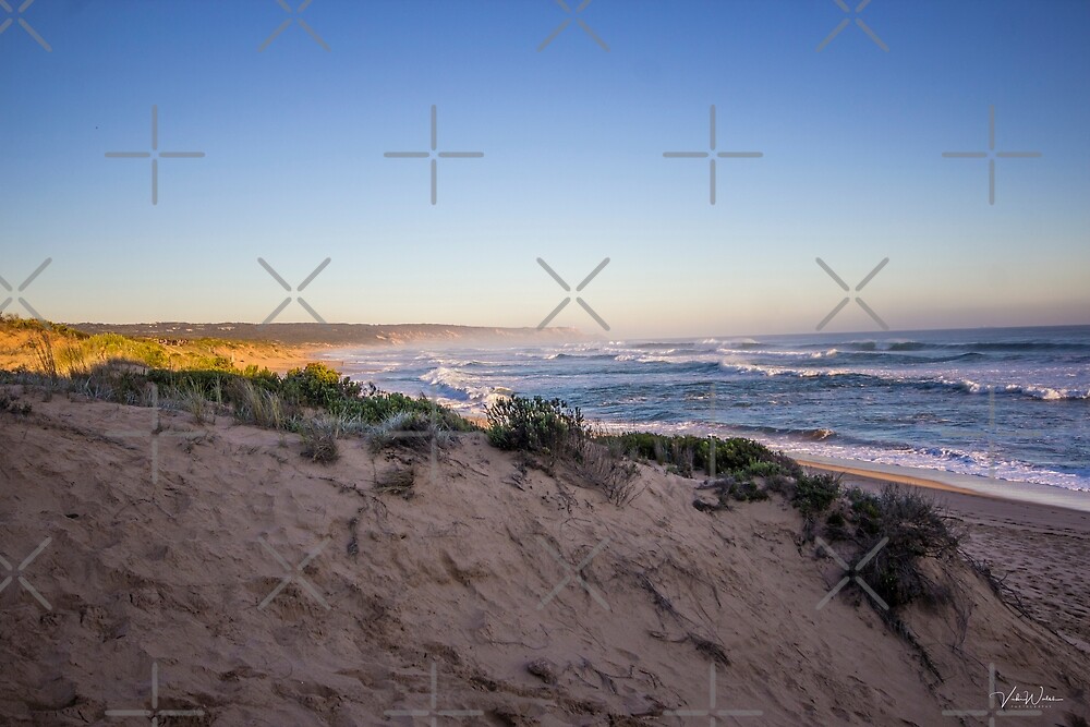 "Sand dunes at Gunnamatta Surf Beach, Mornington Peninsula, Victoria