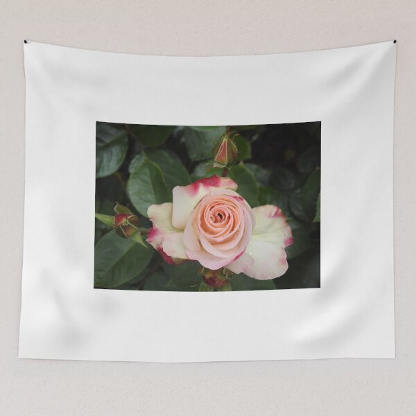 Item preview, DOUBLE DELIGHT designed and sold by Rocksygal52.