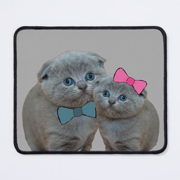 Item preview, A British Short Hair Cat with a Blue and Pink Bow, Gift for The Catlover designed and sold by DiensDesign.