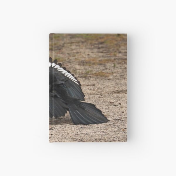 White-winged Chough - Little Desert NP (1026) Hardcover Journal