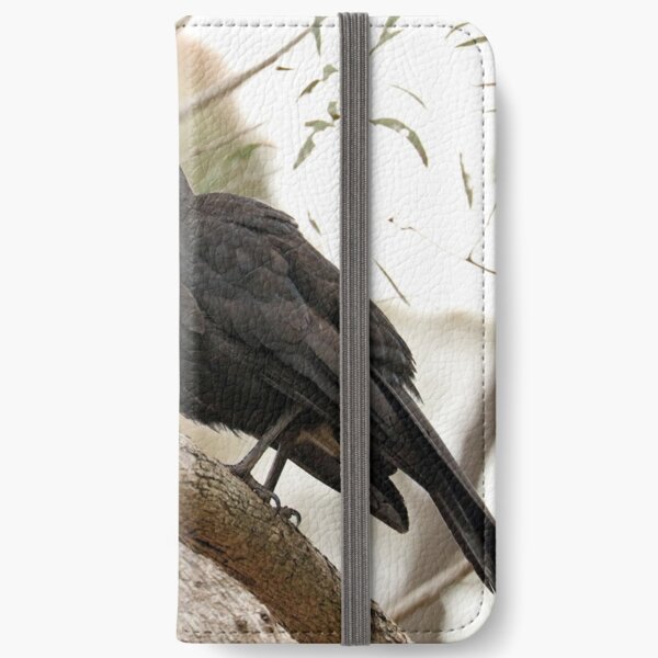 White-winged Chough - Little Desert NP (61) iPhone Wallet