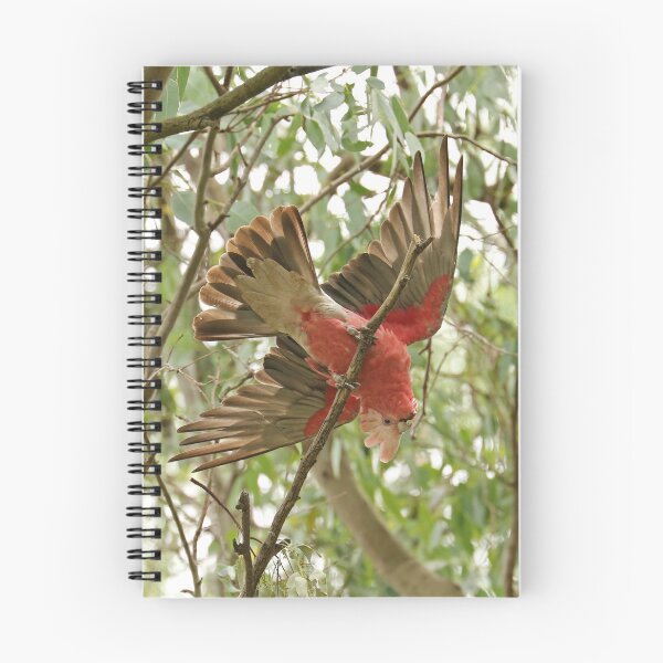 Item preview, Galah - Jingellic NSW (862) designed and sold by Emmy Silvius.
