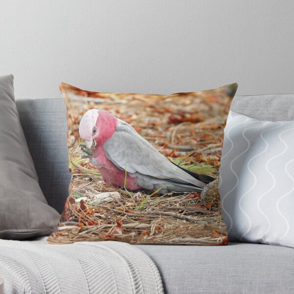 Item preview, Galah - Queenscliff  VIC (541) designed and sold by Emmy Silvius.