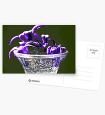 Purple Series Postkarten