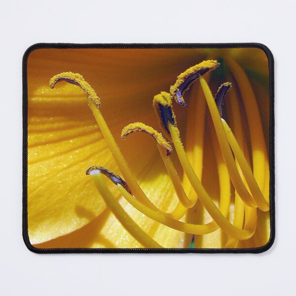 Item preview, Daylily Delight. designed and sold by AlienVisitor's Stuff.