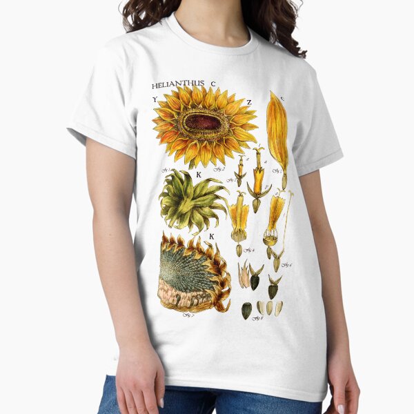 Artikel-Vorschau von Botanische Illustration einer Sonnenblume aus dem 19. Jahrhundert, designt und verkauft von FLIP-original.