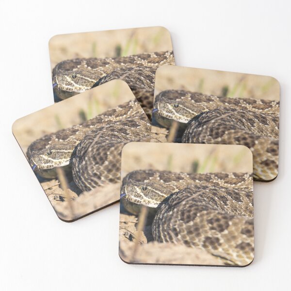 Item preview, Coiled designed and sold by Greg Birkett.