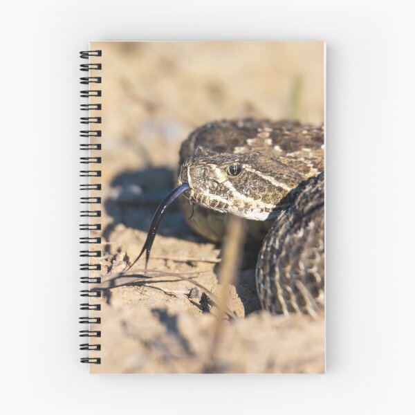 Item preview, Coiled designed and sold by Greg Birkett.