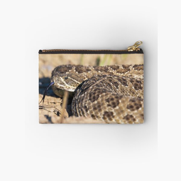Item preview, Coiled designed and sold by Greg Birkett.