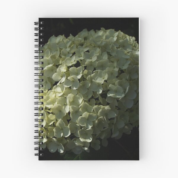 Item preview, Cream Hydrangea from Hakone designed and sold by NinoSalina.